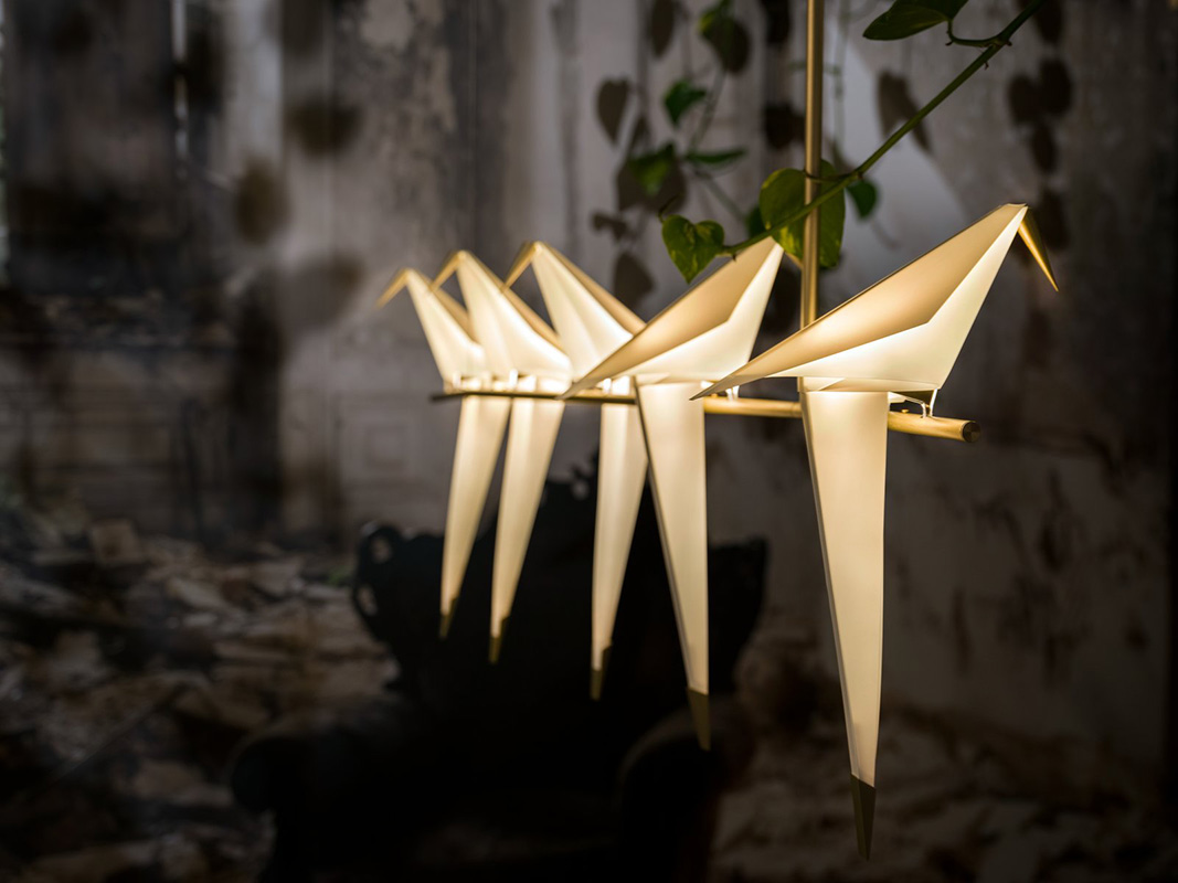 MO_Perch-Light-Branch_pa_dt4