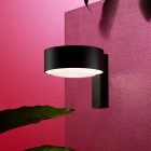 Plaff-on wl_marset_07