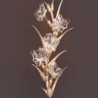 serip-lightplus-luxurylighting-seriptaipei-進口燈具頂級燈具高級訂製燈具、玻璃燈藝、葡萄牙進口燈具、lightplus歐洲進口燈具、大型燈光裝置